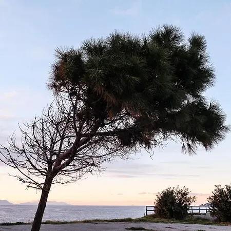 Maddareti Milazzo